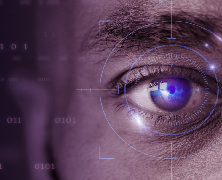 Iris Recognition